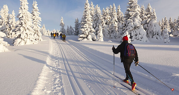 Skilanglauf in Finsterau Bayern